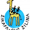 CVČ Žirafa: mestské športové ligy budú aj v novej sezóne 2013/14.