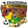DFŽL: štartuje registrácia na novú sezónu 2012/13.